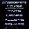 21st Century Tints