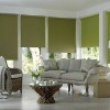 ABS Blinds
