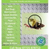 Acorn Pest & Country Services