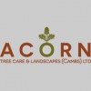 Acorn Tree Care & Landscapes