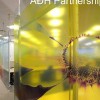 ADH Partnership