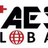 Advanced Electronic Solutions Global