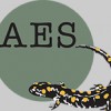 AES National