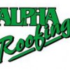 Alpha Roofing Services