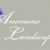 Anemone Landscapes