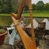 The Gloucestershire Harpist