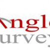 Angle Surveys