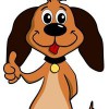 Animal Warden Services