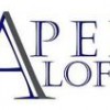 Apex Loft & Roof Conversions