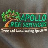Apollo Landscaping & Tree Services