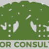 Arbor Consulting