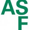 ASF Bespoke Developments