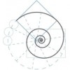 Auchenblae Design & Build