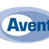 Avent Interiors