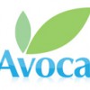 Avoca Floor Care
