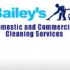 Baileys Cleaning Services