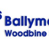 Ballymena Woodbine Skips
