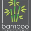 Bamboo Landscapes