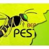 Beaconsfield Pest Control