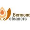 Bermondsey Cleaners