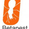 Betapest