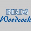 Birds Woodcock