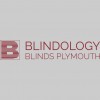 Blindology