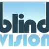 Blind Vision