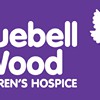 Bluebell Wood