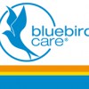 Bluebird Care Holywood