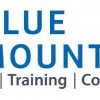 Blue Mountain Security Solutions
