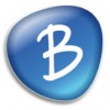 Bluestone Security Services