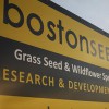 Boston Seeds