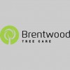 Brentwood Tree Care