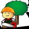 Bridgewater Tree Services