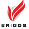 Briggs Fire & Security