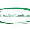 Broadleaf Landscapes