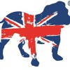 Bulldog Security Products