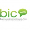 Business Internet Consultant