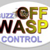 Buzz Off Wasp Control