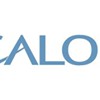 Calon Associates