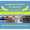 Cambrian Carpets
