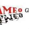 Cameo Glass