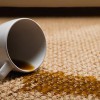 Carpet Cleaning By Carpet Sparkle