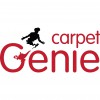 Carpet Genie