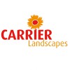 Carrier Landscapes