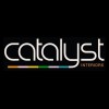 Catalyst Support Systems