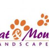 Cat & Mouse Landscapes