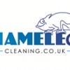 Chameleon Cleaning