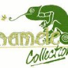 Chameleon Collection Wallpapers & Fabrics